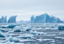 Krisis Es di Kutub: Bukti Nyata Global Warming yang Mengkhawatirkan