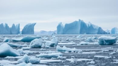 Krisis Es di Kutub: Bukti Nyata Global Warming yang Mengkhawatirkan