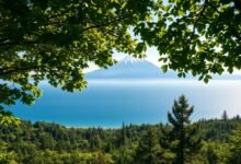 Peran Hutan dan Laut dalam Mengurangi Pemanasan Global